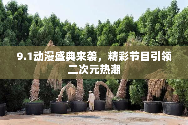 9.1动漫盛典来袭，精彩节目引领二次元热潮
