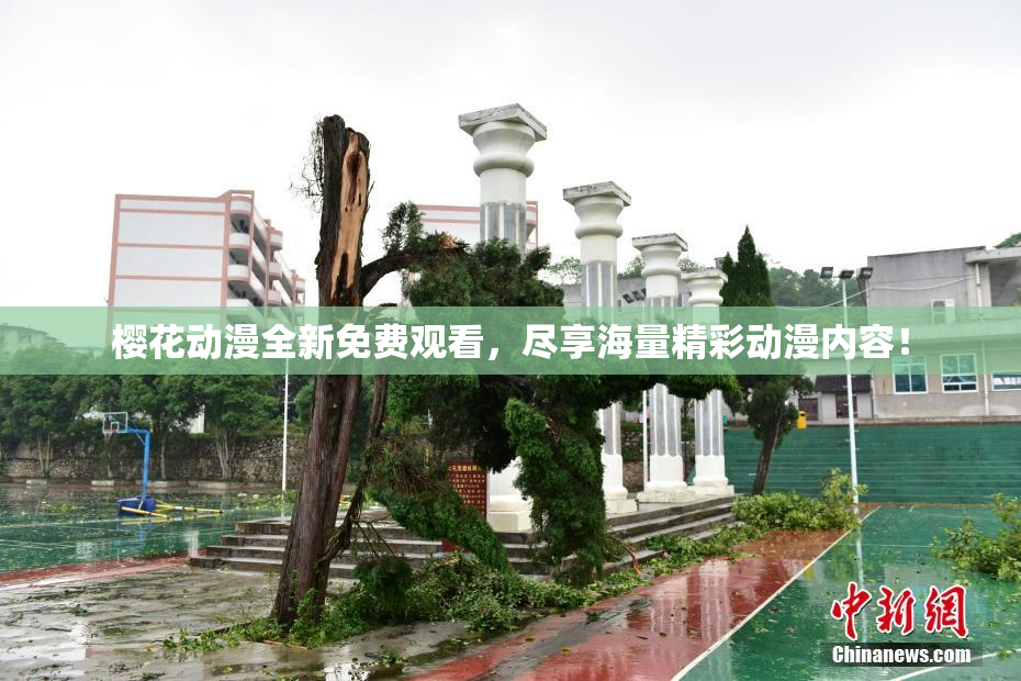 樱花动漫全新免费观看，尽享海量精彩动漫内容！