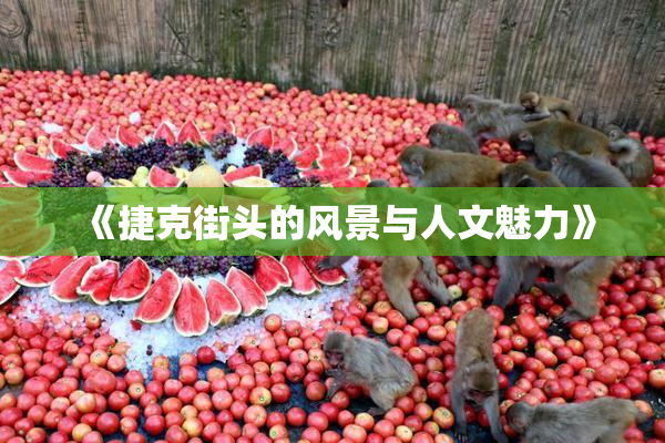 《捷克街头的风景与人文魅力》