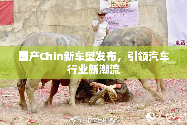 国产Chin新车型发布，引领汽车行业新潮流