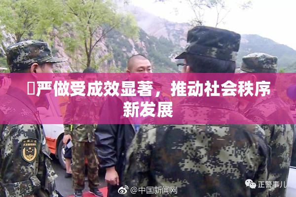 囯严做受成效显著，推动社会秩序新发展