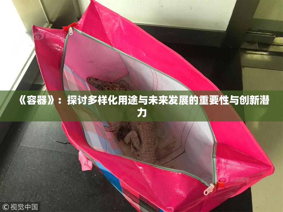 《容器》：探讨多样化用途与未来发展的重要性与创新潜力