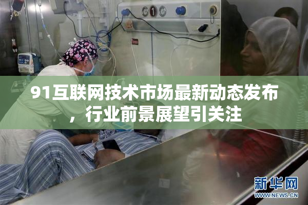 91互联网技术市场最新动态发布，行业前景展望引关注