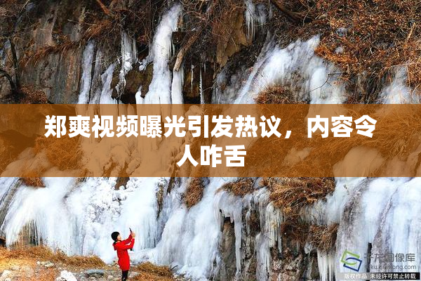 郑爽视频曝光引发热议，内容令人咋舌