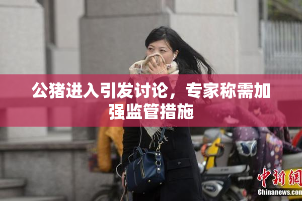 公猪进入引发讨论，专家称需加强监管措施