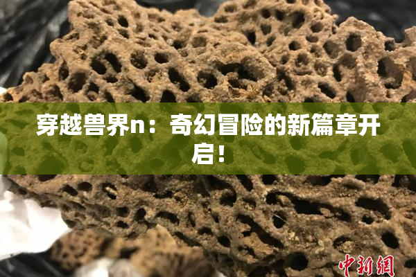 穿越兽界n：奇幻冒险的新篇章开启！