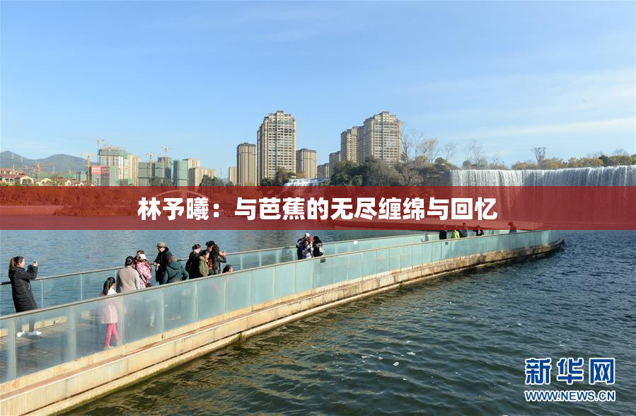 林予曦：与芭蕉的无尽缠绵与回忆