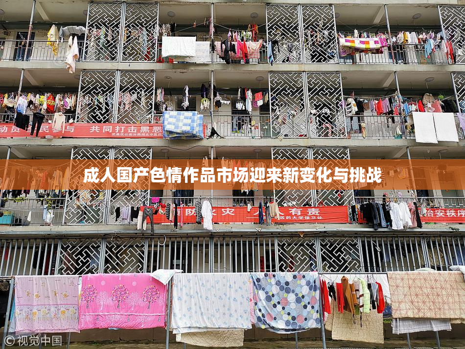 成人国产色情作品市场迎来新变化与挑战