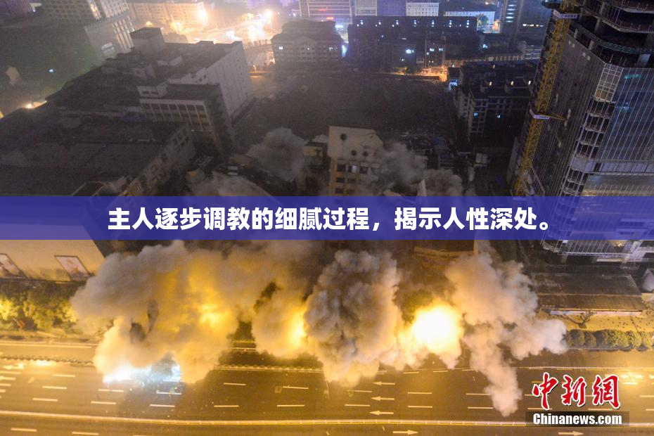 主人逐步调教的细腻过程，揭示人性深处。