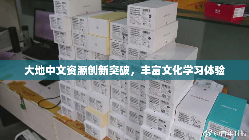 大地中文资源创新突破，丰富文化学习体验