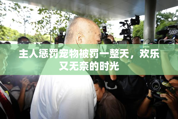 主人惩罚宠物被罚一整天，欢乐又无奈的时光
