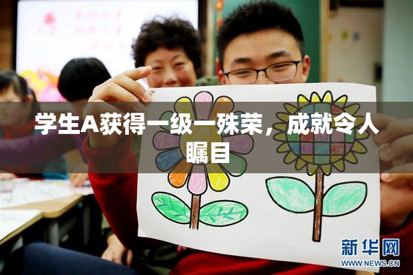 学生A获得一级一殊荣，成就令人瞩目