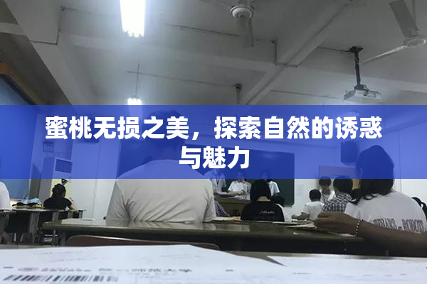 蜜桃无损之美，探索自然的诱惑与魅力