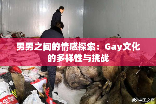男男之间的情感探索：Gay文化的多样性与挑战
