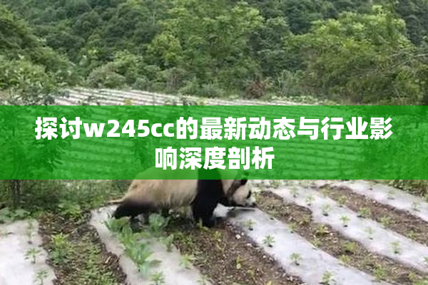 探讨w245cc的最新动态与行业影响深度剖析