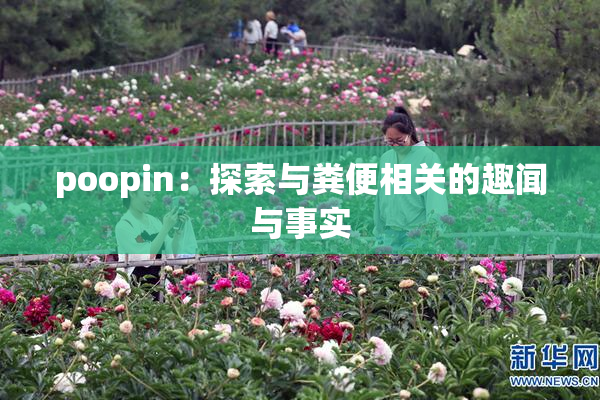 poopin：探索与粪便相关的趣闻与事实