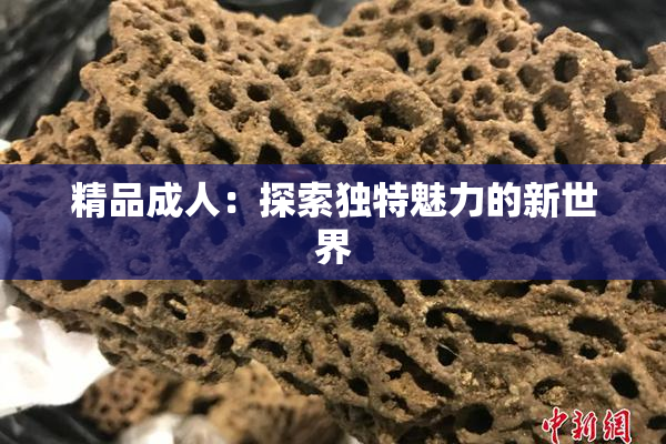 精品成人：探索独特魅力的新世界