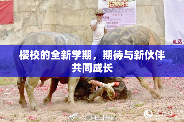 樱校的全新学期，期待与新伙伴共同成长