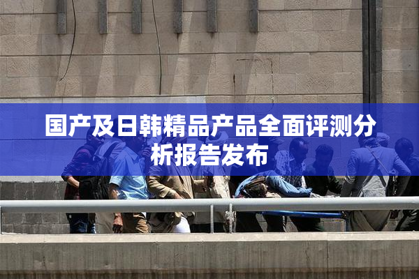 国产及日韩精品产品全面评测分析报告发布