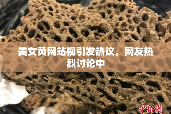 美女黄网站视引发热议，网友热烈讨论中