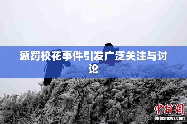 惩罚校花事件引发广泛关注与讨论