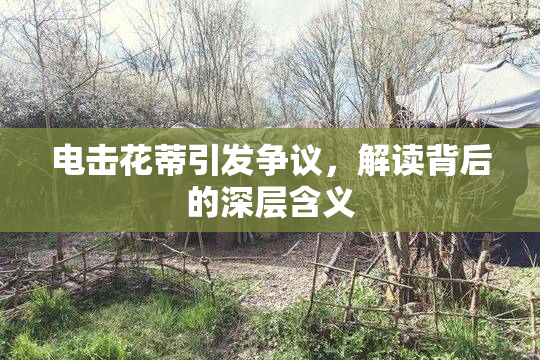 电击花蒂引发争议，解读背后的深层含义