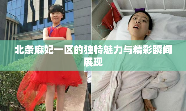 北条麻妃一区的独特魅力与精彩瞬间展现