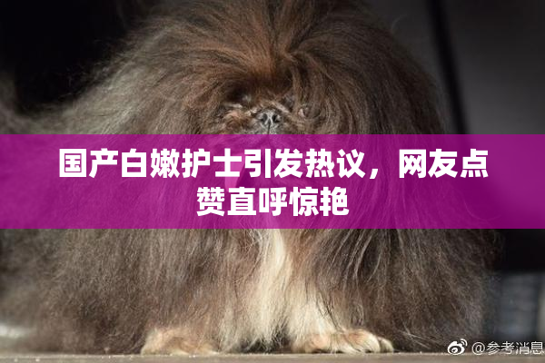 国产白嫩护士引发热议，网友点赞直呼惊艳