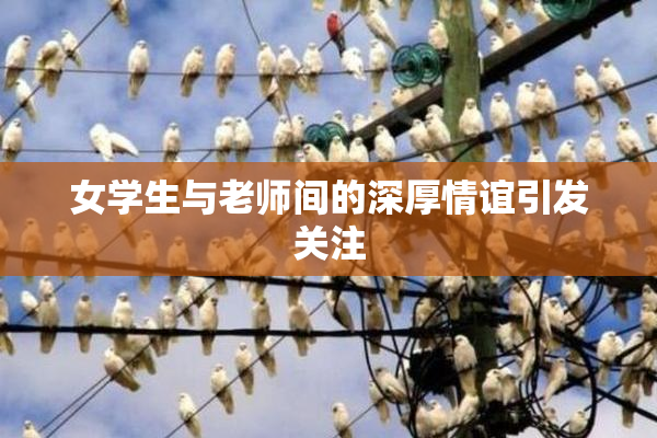 女学生与老师间的深厚情谊引发关注