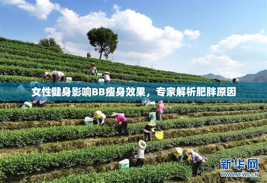 女性健身影响BB瘦身效果，专家解析肥胖原因