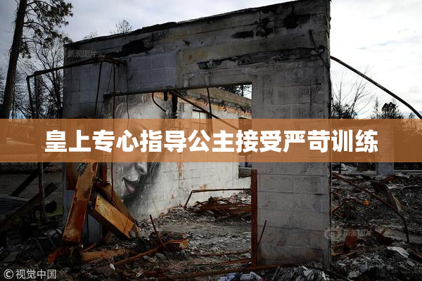 皇上专心指导公主接受严苛训练