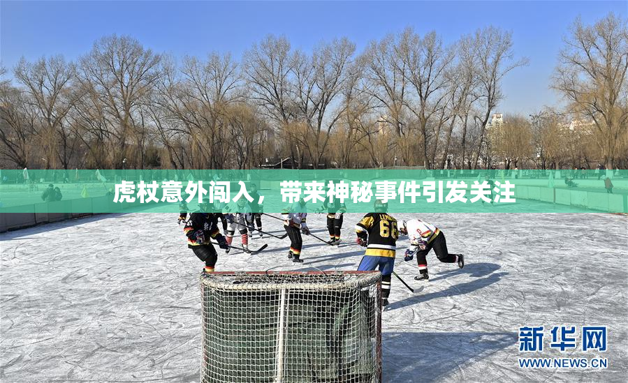 虎杖意外闯入，带来神秘事件引发关注