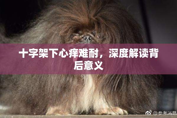 十字架下心痒难耐，深度解读背后意义
