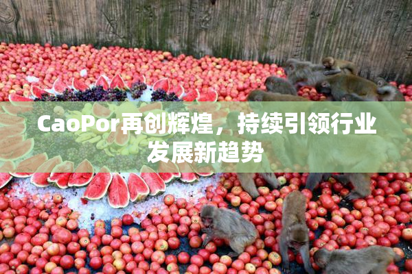 CaoPor再创辉煌，持续引领行业发展新趋势