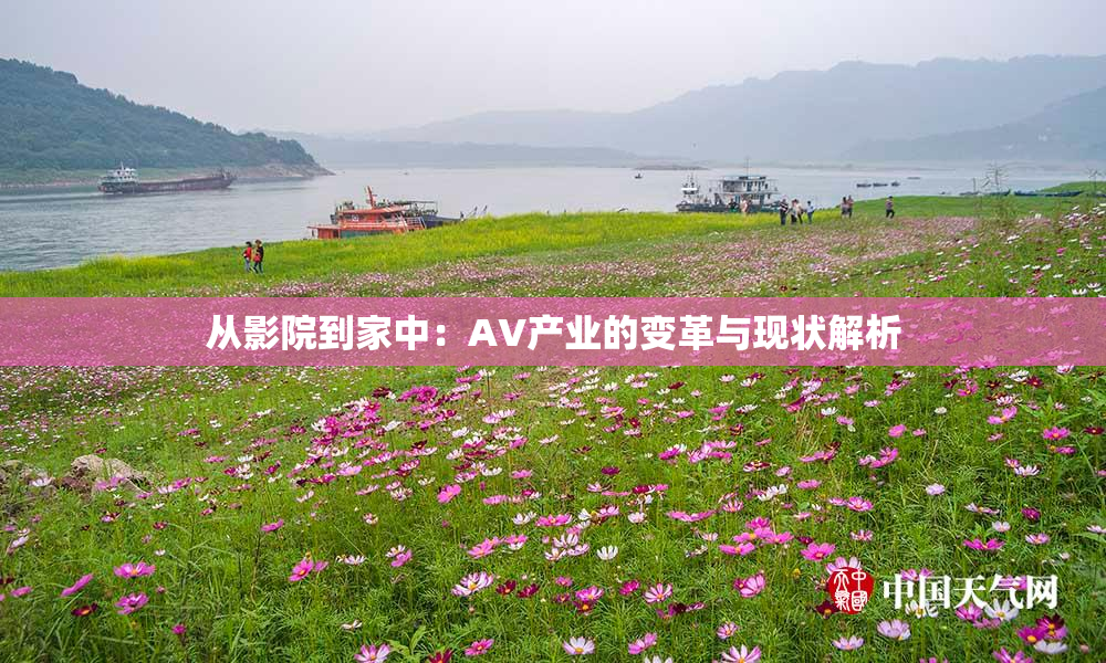 从影院到家中：AV产业的变革与现状解析