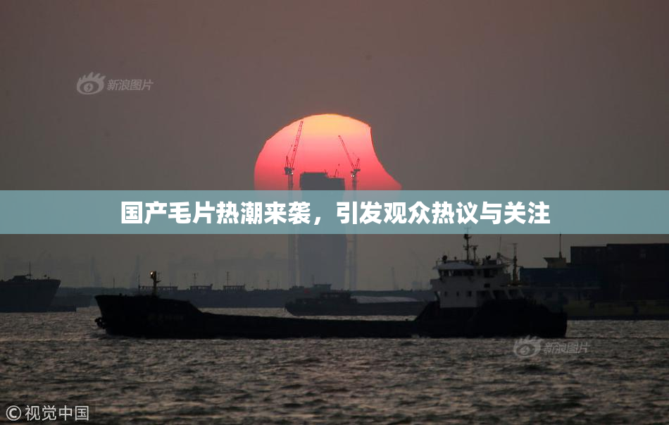 国产毛片热潮来袭，引发观众热议与关注