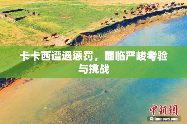 卡卡西遭遇惩罚，面临严峻考验与挑战