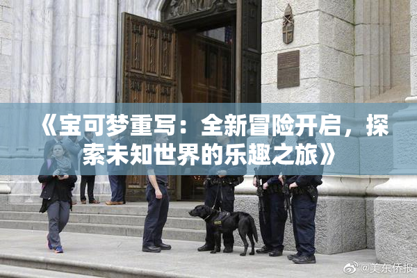 《宝可梦重写：全新冒险开启，探索未知世界的乐趣之旅》