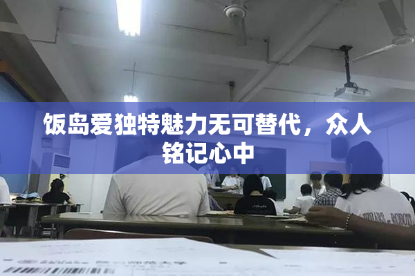 饭岛爱独特魅力无可替代，众人铭记心中