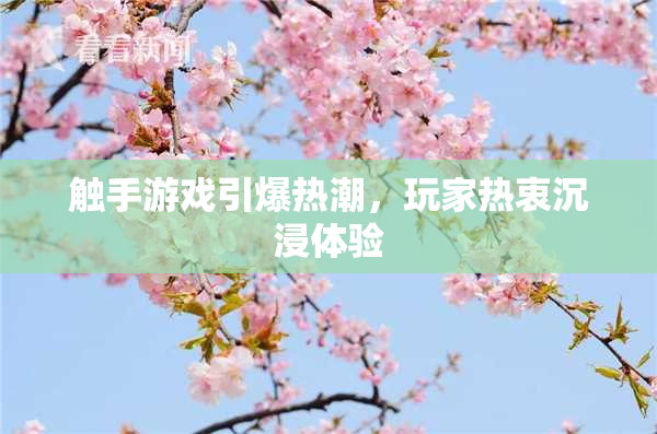 触手游戏引爆热潮，玩家热衷沉浸体验