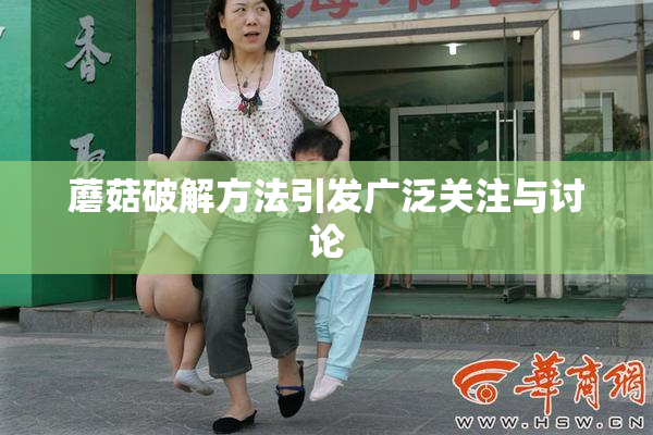 蘑菇破解方法引发广泛关注与讨论