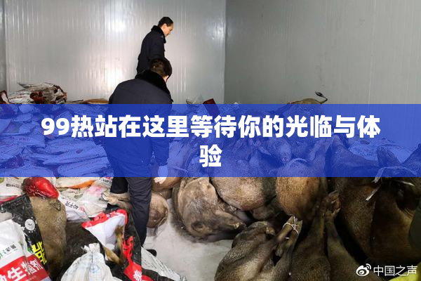 99热站在这里等待你的光临与体验