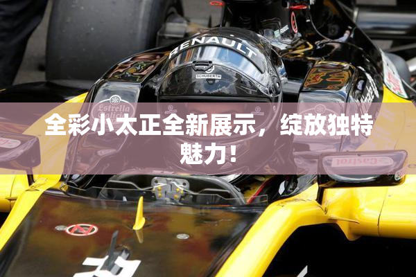 全彩小太正全新展示，绽放独特魅力！