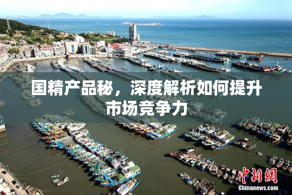 国精产品秘，深度解析如何提升市场竞争力