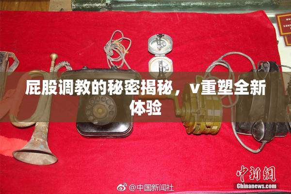 屁股调教的秘密揭秘，v重塑全新体验