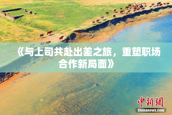 《与上司共赴出差之旅，重塑职场合作新局面》