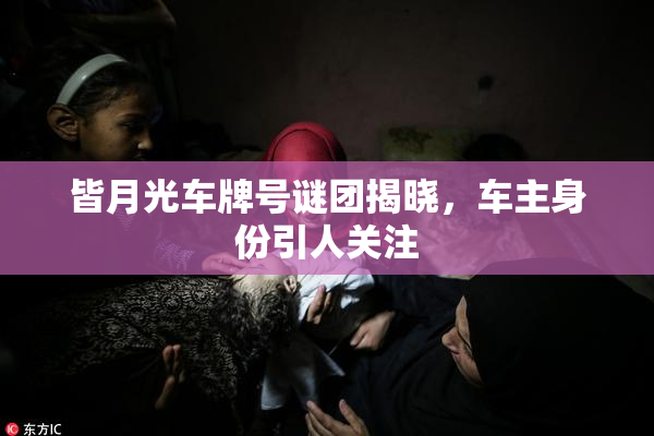 皆月光车牌号谜团揭晓，车主身份引人关注