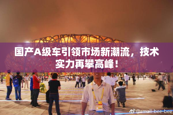 国产A级车引领市场新潮流，技术实力再攀高峰！