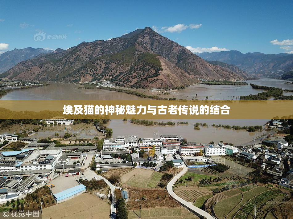 埃及猫的神秘魅力与古老传说的结合