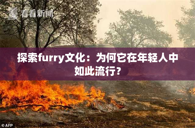 探索furry文化：为何它在年轻人中如此流行？